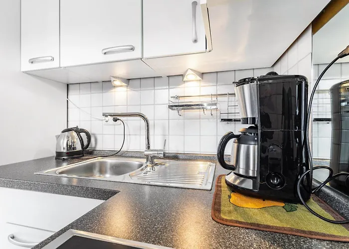 Hammerschmidt Brilon